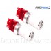 Diode Dynamics Tail Light LEDs for the Ford Focus RS (Pair)